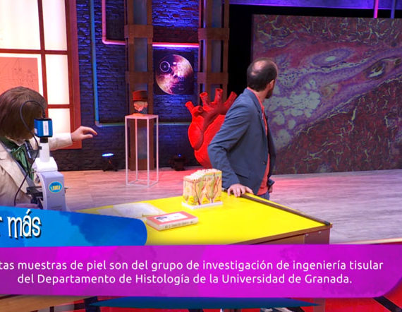 Una estructura histológica del Departamento de Histología de la UGR en la Televisión Española