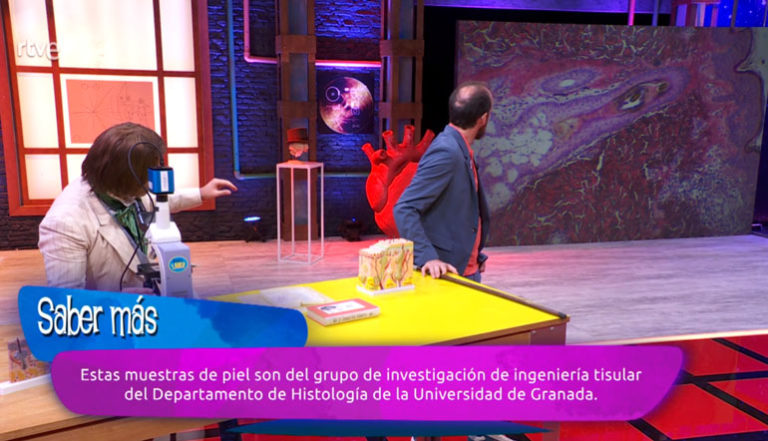 Televisión Española recurre al grupo de Ingeniería Tisular del Departamento de Histología de la Universidad de Granada para mostrar la estructura histológica de la piel humana